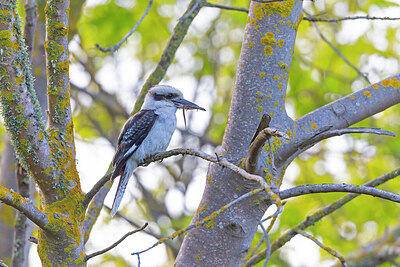 BUITEN BEELD Foto: 430541