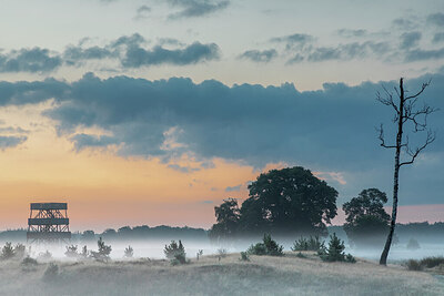 BUITEN BEELD Foto: 430573