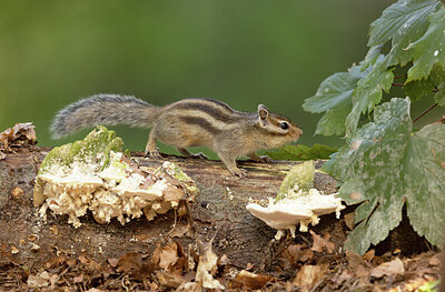 BUITEN BEELD Foto: 430651