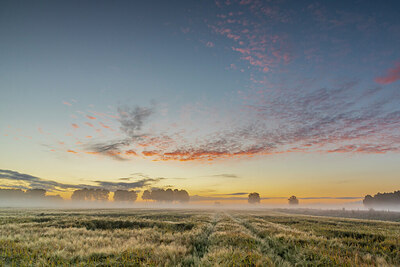 BUITEN BEELD Foto: 430657