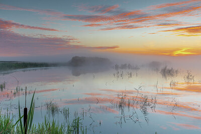 BUITEN BEELD Foto: 430664