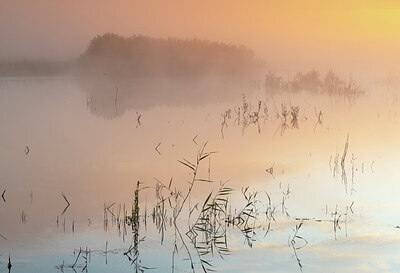 BUITEN BEELD Foto: 430666