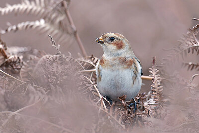 BUITEN BEELD Foto: 430724