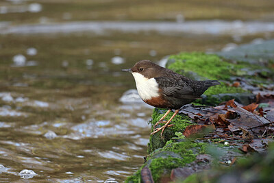 BUITEN BEELD Foto: 430742