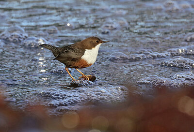 BUITEN BEELD Foto: 430750