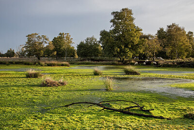 BUITEN BEELD Foto: 430794