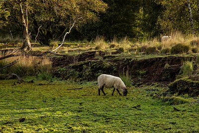 BUITEN BEELD Foto: 430797