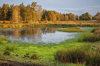 BUITEN BEELD Foto: 430799