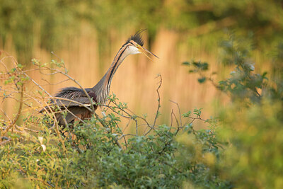 BUITEN BEELD Foto: 430809