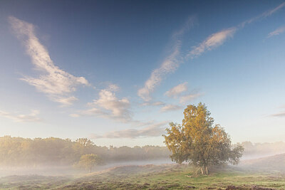 BUITEN BEELD Foto: 430820