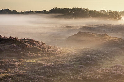 BUITEN BEELD Foto: 430823