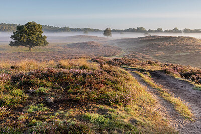 BUITEN BEELD Foto: 430824