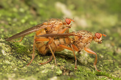 BUITEN BEELD Foto: 430849