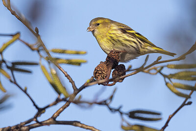 BUITEN BEELD Foto: 430876