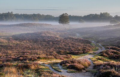 BUITEN BEELD Foto: 430887