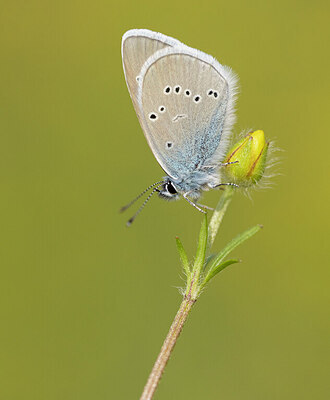 BUITEN BEELD Foto: 430909