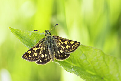 BUITEN BEELD Foto: 430912