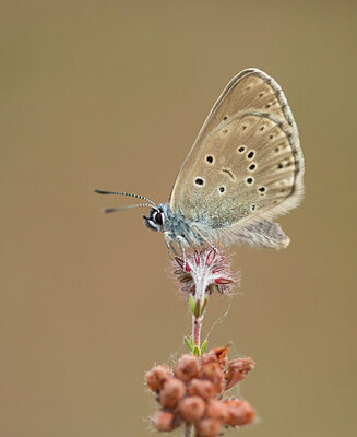 BUITEN BEELD Foto: 430967