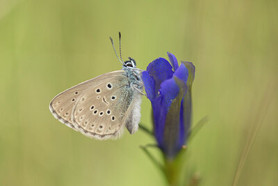 BUITEN BEELD Foto: 430968