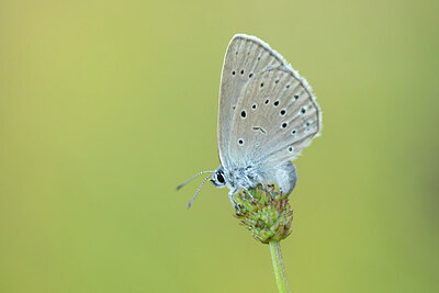 BUITEN BEELD Foto: 430969