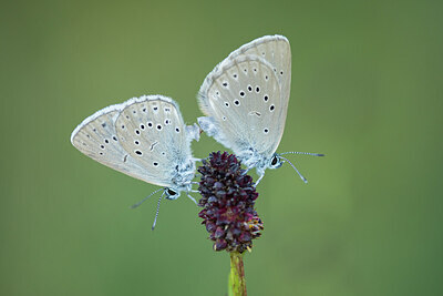 BUITEN BEELD Foto: 430970