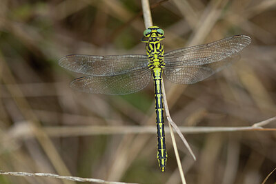 BUITEN BEELD Foto: 430994