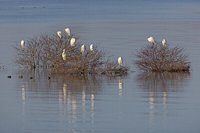 BUITEN BEELD Foto: 431135