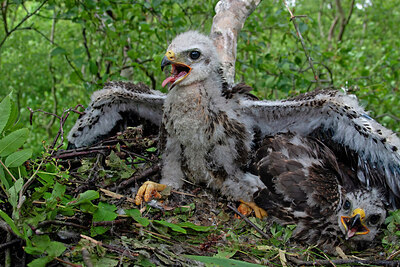 BUITEN BEELD Foto: 431154