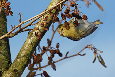 BUITEN BEELD Foto: 431177