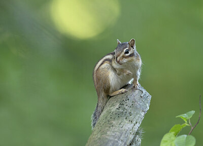 BUITEN BEELD Foto: 431207