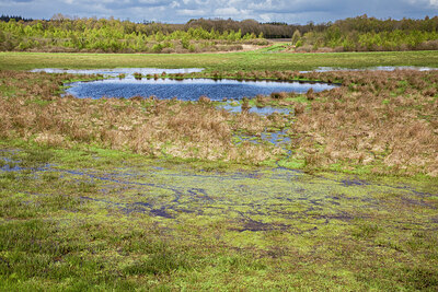 BUITEN BEELD Foto: 431224