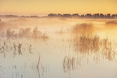 BUITEN BEELD Foto: 431225