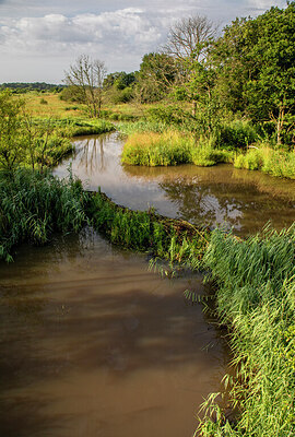 BUITEN BEELD Foto: 431257