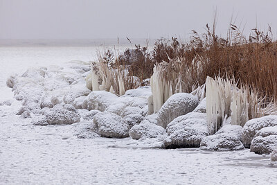 BUITEN BEELD Foto: 431600