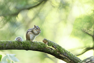 BUITEN BEELD Foto: 431671