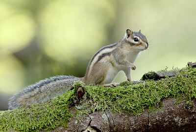 BUITEN BEELD Foto: 431672