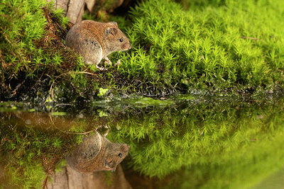 BUITEN BEELD Foto: 431687