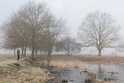 BUITEN BEELD Foto: 431741