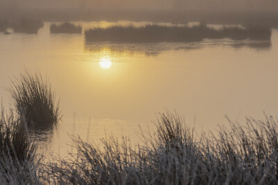 BUITEN BEELD Foto: 431742