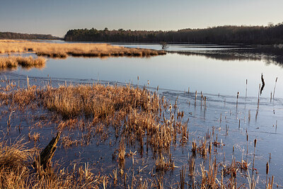 BUITEN BEELD Foto: 431781