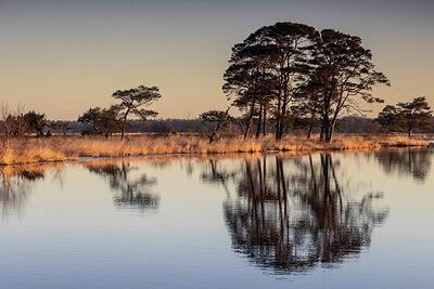 BUITEN BEELD Foto: 431788