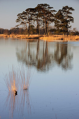 BUITEN BEELD Foto: 431790