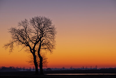 BUITEN BEELD Foto: 431794