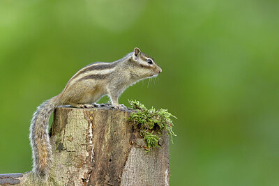 BUITEN BEELD Foto: 431815