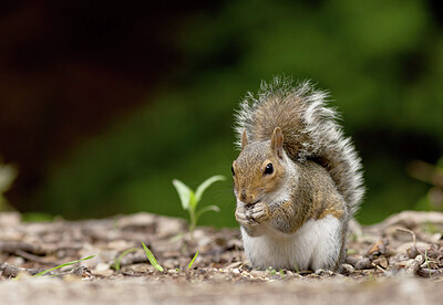 BUITEN BEELD Foto: 431833