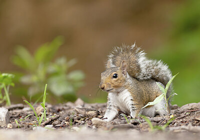 BUITEN BEELD Foto: 431844