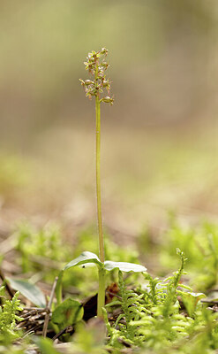 BUITEN BEELD Foto: 431898