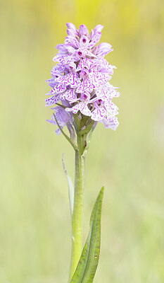 BUITEN BEELD Foto: 431918