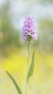 BUITEN BEELD Foto: 431919