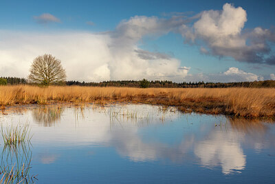 BUITEN BEELD Foto: 432017